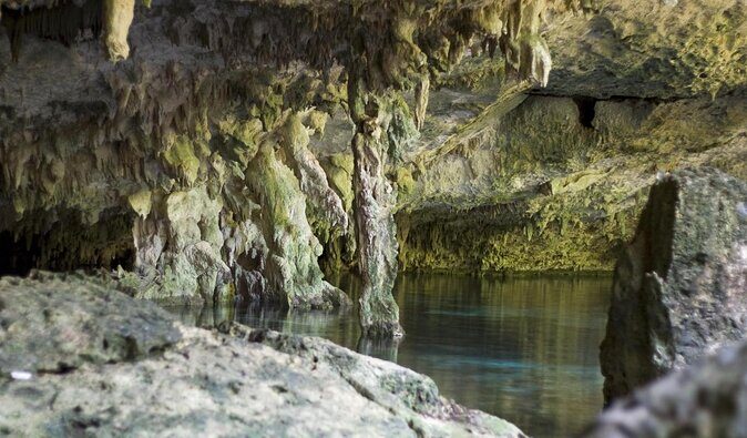 2 cenote divings (including one deep diving) for advanced divers in Tulum - Key highlights you’ll feel on this outing
