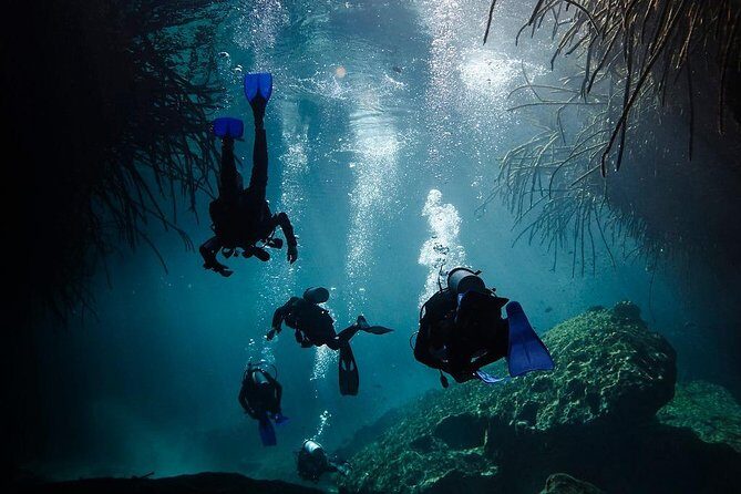 2 cenote divings (including one deep diving) for advanced divers in Tulum - Stop 4: Parque Dos Ojos and keeping the whole schedule sane