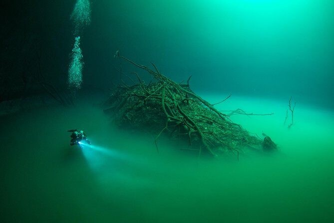 2 cenote divings (including one deep diving) for advanced divers in Tulum - Value check: what $215 gets you (and what it doesn’t)