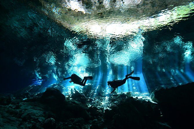 2 dives in Cenote Dos ojos Certified Divers - Key things that make this tour a smart choice