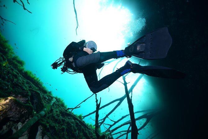 2 dives in Cenote Dos ojos Certified Divers - Price and value: what you’re paying for (and what to budget extra)