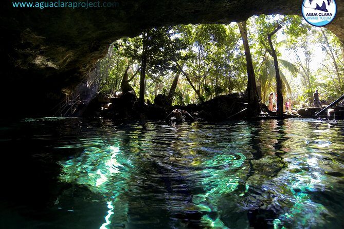 2 dives in Cenote Dos ojos Certified Divers - Guide quality: where experiences can vary