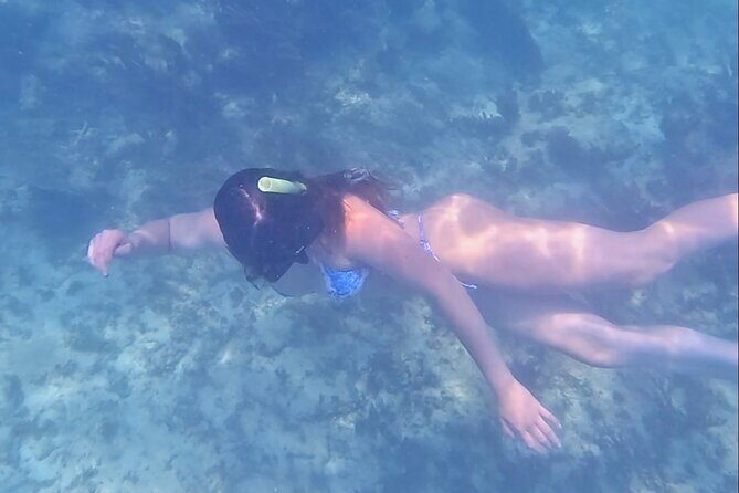 2-Hour Snorkeling in Two Spots of Tulum's Reef - Stop One: Open Water With Sea Turtles and Stingrays