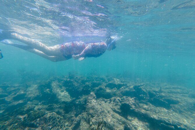 2-Hour Snorkeling in Two Spots of Tulum's Reef - What the Weather Can Do to Your Day