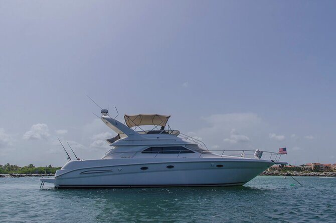 2 Hour Sunset - 51' Sea Ray Tulum, Playa del Carmen, Riviera Maya - Meeting point in Puerto Aventuras: show up on time