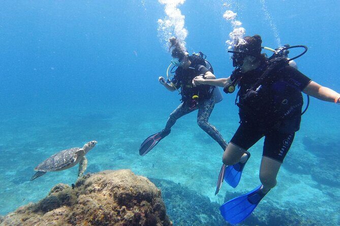 2 Tank Cozumel Reef Boat Dives - Small-Group Coaching and Safety Briefings
