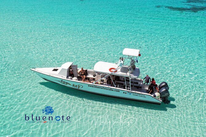 2 Tank Morning Dive: Scuba Diving in Cozumel - Key Highlights I’d Put on Your Shortlist