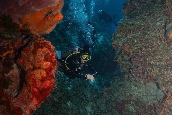 2 Tank Morning Dive: Scuba Diving in Cozumel - Boat Comfort That Actually Helps: Shade, Bathrooms, and Gear Setup