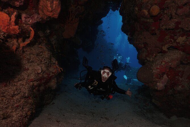 2 Tank Morning Dive: Scuba Diving in Cozumel - Price and Value: What $160 Buys You (And What It Doesn’t)