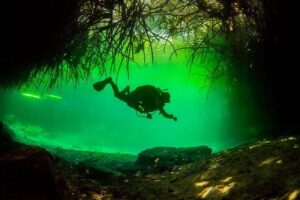 2 tanks Cenote Diving Adventure in Tulum for Certified Divers - The 8:30 am meetup and getting geared up