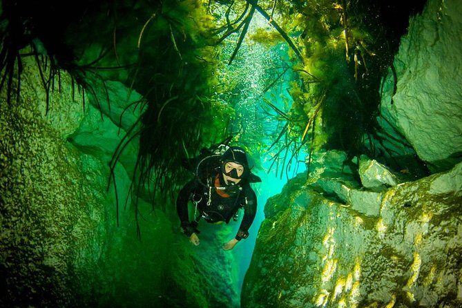 2 tanks Cenote Diving Adventure in Tulum for Certified Divers - Stop 1: La Calypso shop — where you start organized