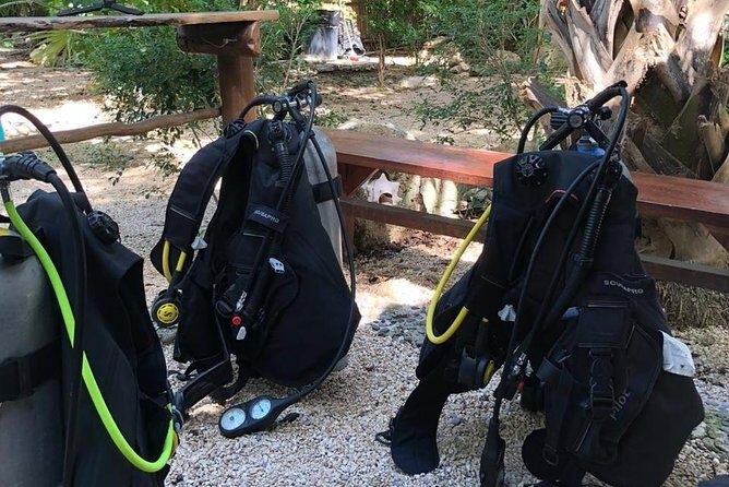 2 tanks Cenote Diving Adventure in Tulum for Certified Divers - Stop 2: Casa Cenote — the first 40 minutes, open air