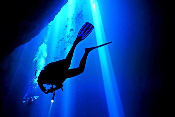 2 tanks Cenote Diving Adventure in Tulum for Certified Divers - Your instructor, small-group attention, and why it matters