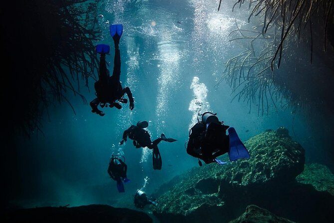 2 tanks Cenote Diving Adventure in Tulum for Certified Divers - Safety rules you should treat seriously