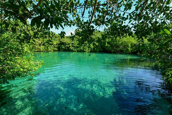 3 Cenote Dives - Casa & Dos Ojos - Casa Cenote: Your First Underwater Session Sets the Tone
