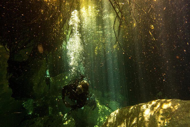 3 Cenote Dives - Casa & Dos Ojos - Lunch, Snacks, and Towels: How the Operator Keeps You Comfortable