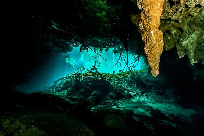 3 Cenote Dives - Casa & Dos Ojos - Time Plan and What 5 Hours Feels Like in Real Life