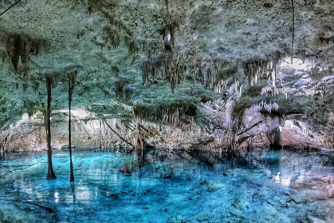 3 in 1 Private Tour Tulum Cenote and Snorkeling in the reef - Stop 2: National-park reef snorkeling and how the hour is handled