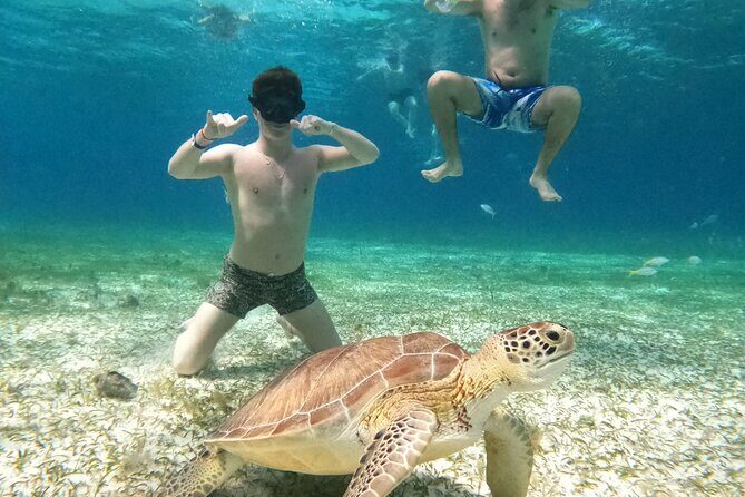 4 Hour Cozumel Turtle Sanctuary Experience on a Luxury Catamarán - El Cielo starfish sanctuary: shallow water, good photos, and one rule you’ll want to follow