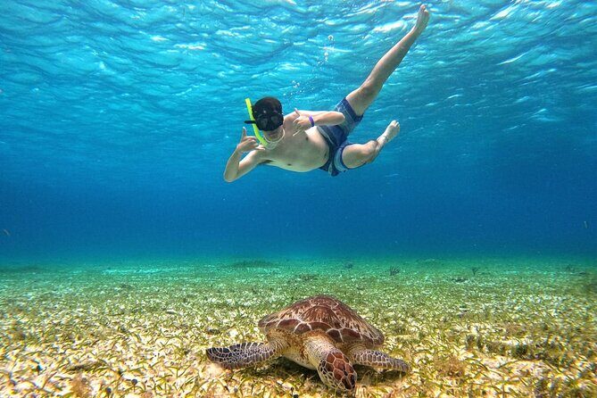 4 Hour Cozumel Turtle Sanctuary Experience on a Luxury Catamarán - Cielito sandbank: the relax stop where the snacks actually taste good