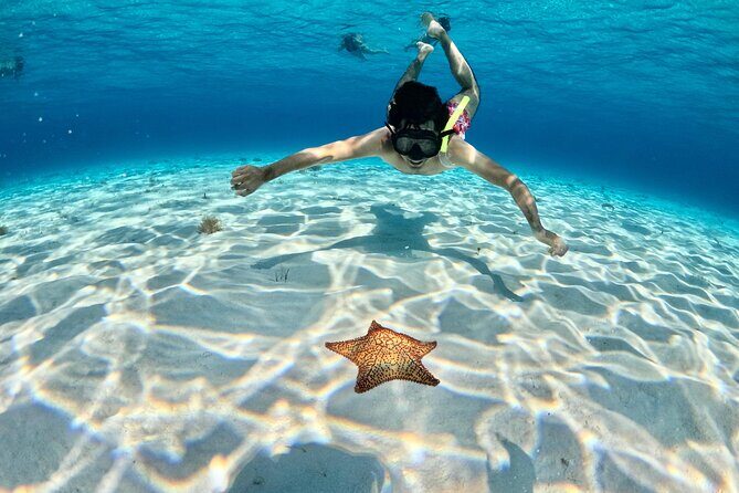 4 Hour Cozumel Turtle Sanctuary Experience on a Luxury Catamarán - Snorkel stops and timing: why some days feel longer than others