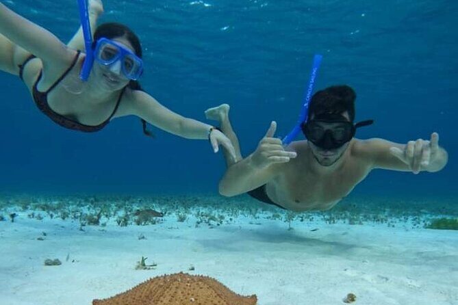 4 hours of shared snorkeling to El Cielo - Why this El Cielo reef circuit fits 4 hours