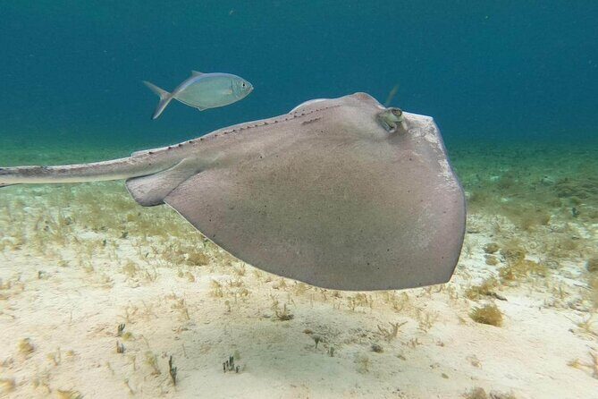 4 hours of shared snorkeling to El Cielo - What the boat ride feels like (and what can go wrong)