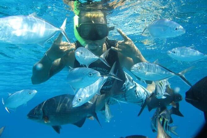 4 hours of shared snorkeling to El Cielo - Logistics that can save you 30 minutes of stress