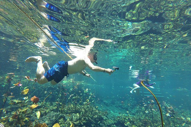 4 Private Cenotes, Zip-Lines, Canoes & Mayan Village with Delicious Lunch - Mayan Village Lunch: Food You Can Taste, Culture You Can See