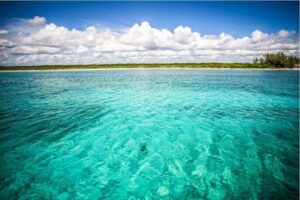 5H 42' Azimut Yacht All-Inclusive from Tulum & Playa del Carmen. - The open bar + ceviche lunch: what makes the day worth the price