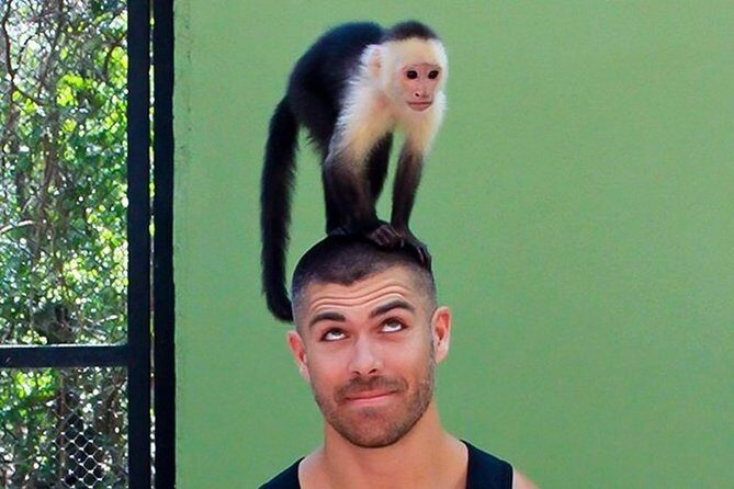 Akumal Monkey Sanctuary - The monkey bonding moment: the cool part, the rules, and the kid question