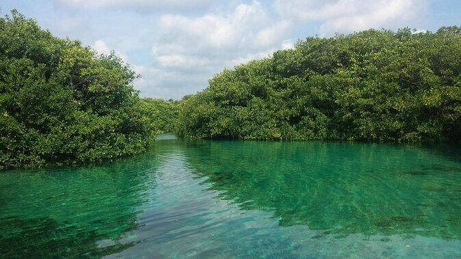 Amazing beginner dive in Tulum cenote (or refresher dive) - Key Things That Make This Tulum Scuba Session Special