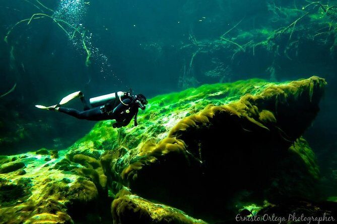 Amazing beginner dive in Tulum cenote (or refresher dive) - Timing, Meeting Point, and How to Plan Your Day