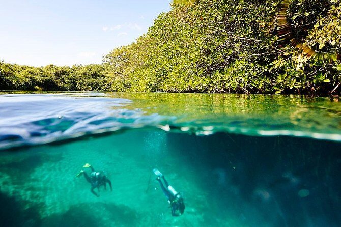 Amazing beginner dive in Tulum cenote (or refresher dive) - Price and Value: What $140 Covers and Why It Feels Fair