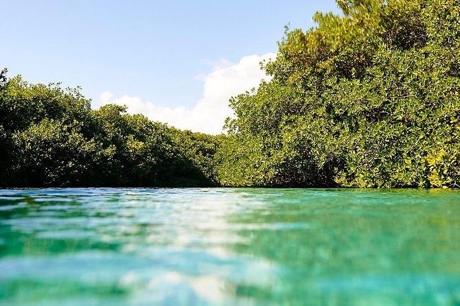 Amazing beginner dive in Tulum cenote (or refresher dive) - Who Should Book This (and Who Should Think Twice)