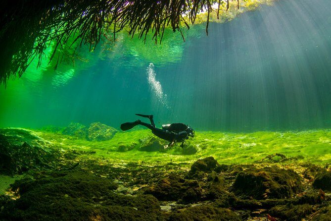 Amazing beginner dive in Tulum cenote (or refresher dive) - What Happens Before You Go Underwater: Gear, Breathing, and Signals