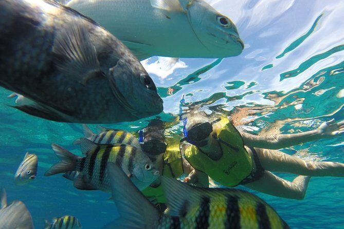 ATV Mud Kicking and Snorkeling by Boat in Cozumel - Who this ATV + snorkeling combo is best for