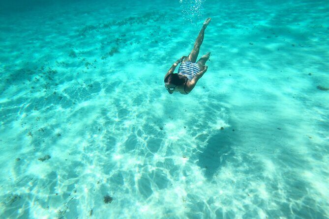 Bavarian Fiesta Snorkel Activity in Glass Bottom Boat at San Miguel de Cozumel - El Cielo and El Cielito: Starfish Territory on the South Side
