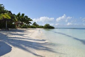 Beach Escape: Isla Contoy and Isla Mujeres with Snorkeling. - Snorkeling off Isla Contoy: coral, rules, and the real pacing