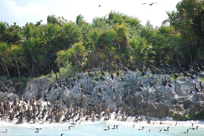 Beach Escape: Isla Contoy and Isla Mujeres with Snorkeling. - Guides and crew energy: names I’d look out for on the day