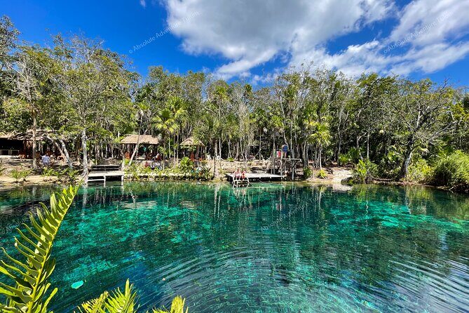 Bestseller! Tulum Private Tour with Turtles and Cenote Snorkeling - Jungle Lunch With an À La Carte Meal (Not a Buffet)