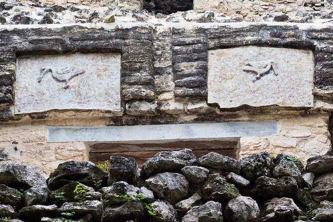 Bird Watching in Sian Ka´an Muyil - Birding at the Muyil Archaeological Site: A Trading Post, a Bird Stage