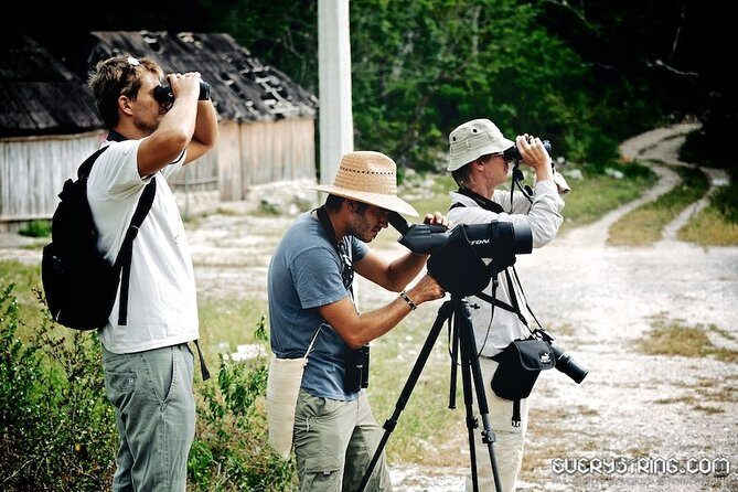 Bird Watching in Sian Ka´an Muyil - Miguel’s Role: Turning Bird Calls Into a Fun, Educational Day