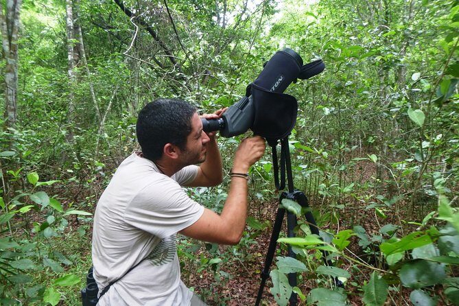 Birdwatching in Sian Ka´an Muyil from Tulum - Shared Group Tour - Stop 2: The Muyil Ruins Walk Through the Sian Ka’an Biosphere Entrance
