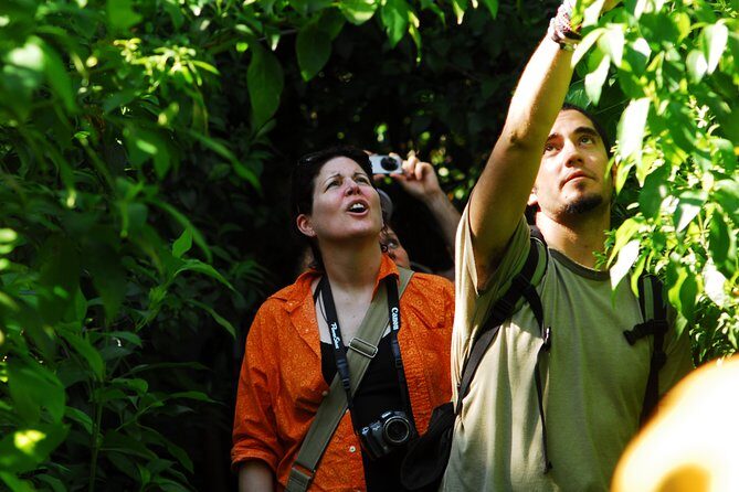 Birdwatching in Sian Ka´an Muyil from Tulum - Shared Group Tour - Lake Chunyaxché Optional Boat and Lazy-River-Style Float