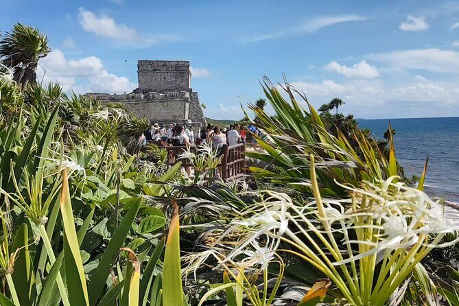 Cancun Jungle Tour: Tulum, Cenote Snorkeling, Ziplining, Lunch - Rancho San Felipe and the Yucatán Story You Actually Remember