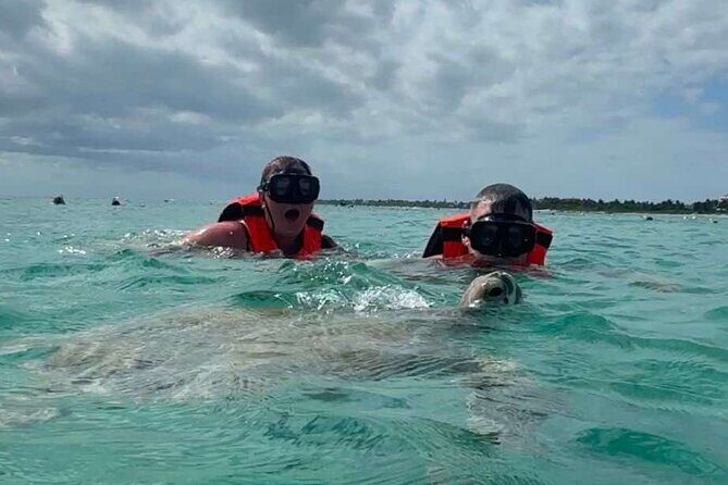 Cenote and Swimming with Turtles Private Tour in Akumal - Akumal Bay turtle snorkeling: the reef walk with a guide