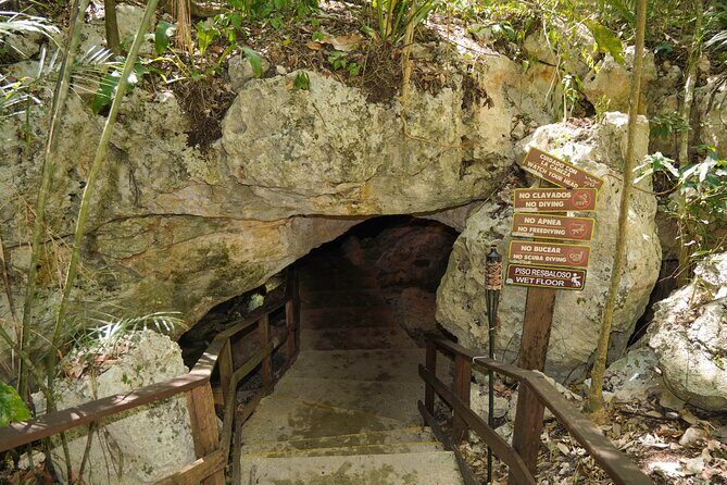 Cenote Expedition: Discover 3 Secret Cenotes with Mayan ritual - Snorkeling equipment, snacks, and bottled water—set up for convenience