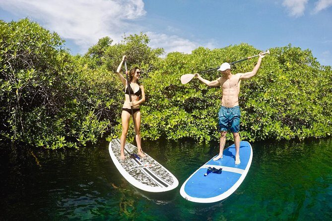 Cenote Paddleboarding and Snorkeling in Tulum - Stop at Casa Cenote: entrances included, and why it matters