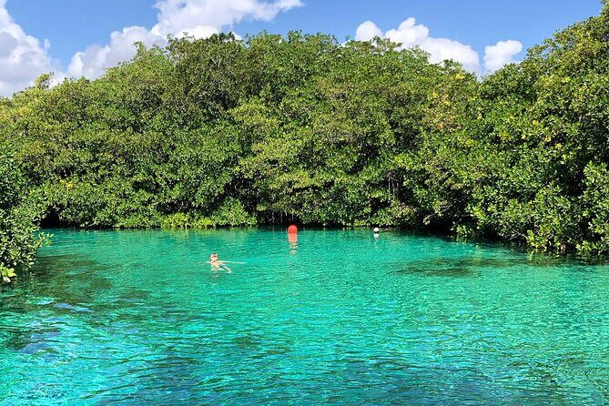 Cenote Triple Adventure Tour in Tulum - Casa Cenote: jungle-style swimming with soft sand and mangroves